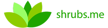 Portfolio Logo