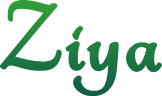 Portfolio Logo