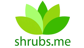 logo Portfolio