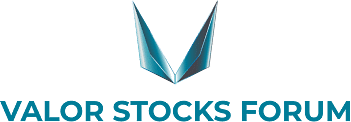 logo Portfolio