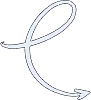 vector