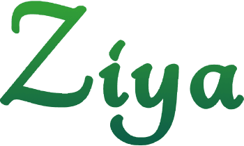 logo Portfolio